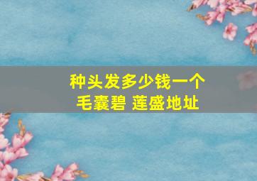 种头发多少钱一个毛囊碧 莲盛地址